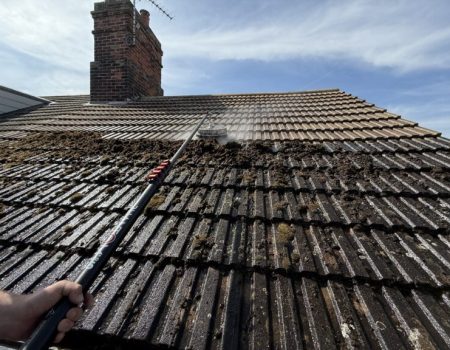 roof-cleaning2